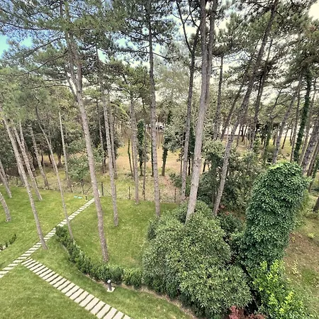 Lignano Pineta Super